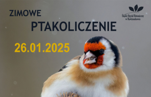 Ilustracja artykułu: "Zimowe ptakoliczenie"