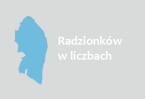 Ilustracja artykułu: "Radzionków w liczbach"