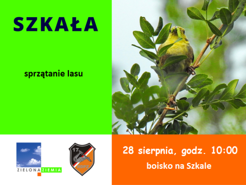 Ilustracja artykułu: "Sprzątanie Szkały"