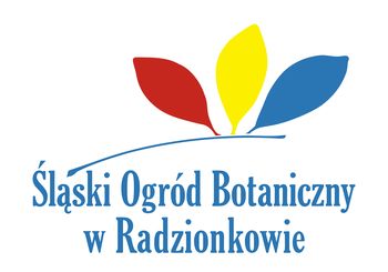 Ilustracja artykułu: Dzień Dzikich Roślin