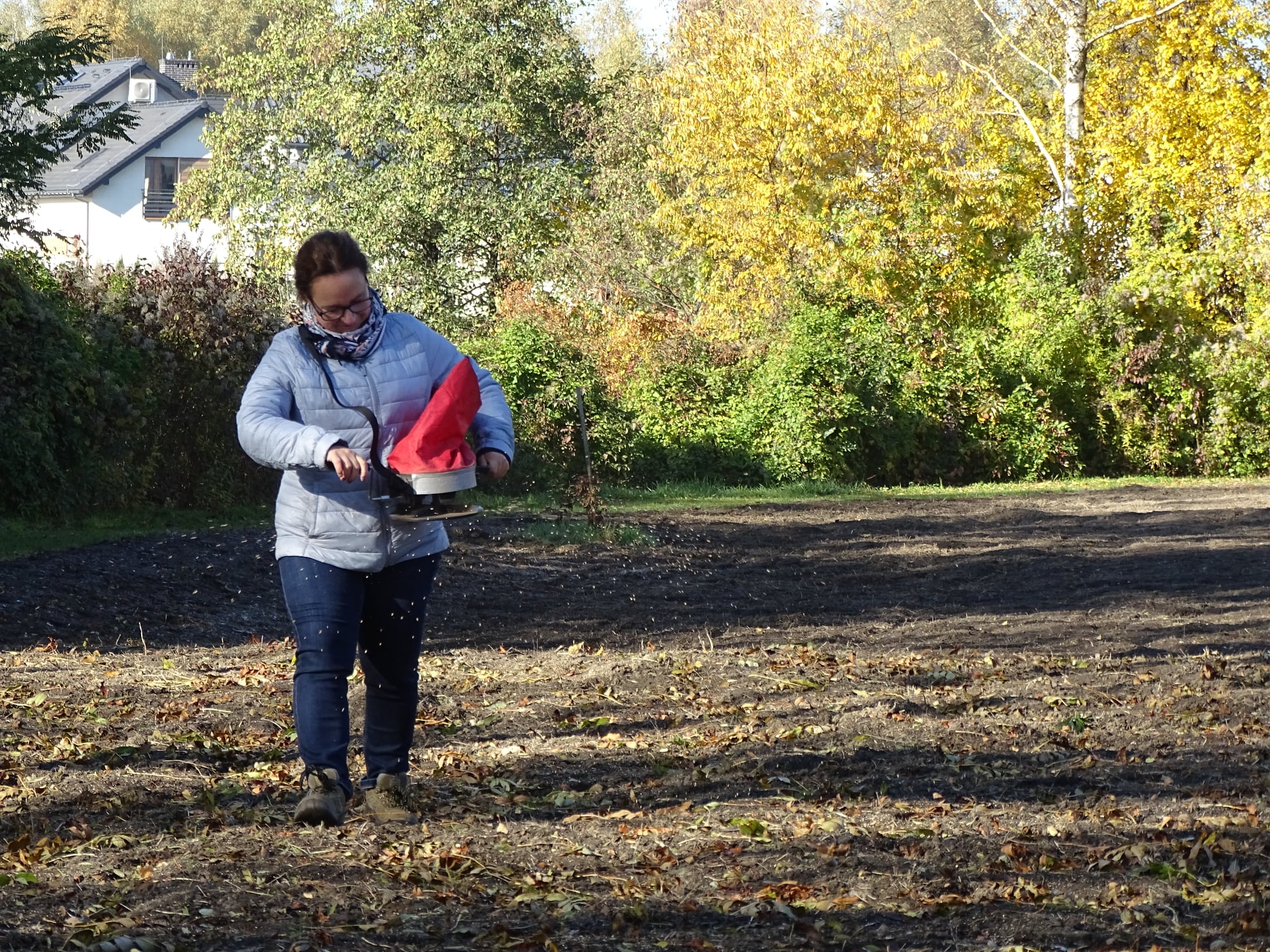Pani wysiewa łąkę kwietną w ogrodzie botanicznym