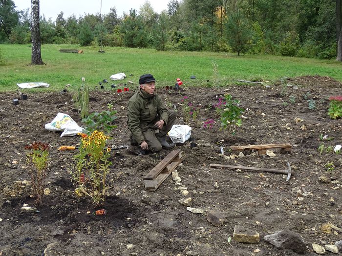Pan wykonuje nasadzenia w Śląskim Ogrodzie Botanicznym