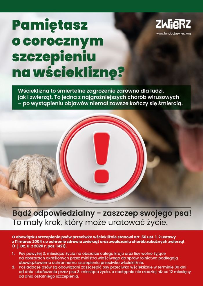 Plakat informujący o obowiązkowych szczepieniach pupilów na wściekliznę.