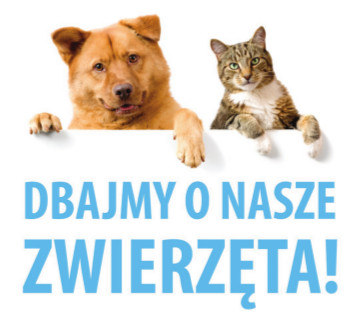 Ilustracja artykułu: Dbajmy o nasze zwierzęta domowe - kompendium wiedzy