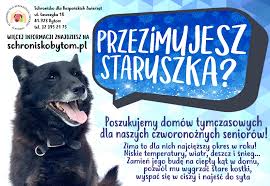 Ilustracja artykułu: Przezimujesz staruszka?