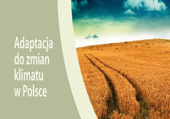 Ilustracja artykułu: Czym jest adaptacja do zmian klimatu?