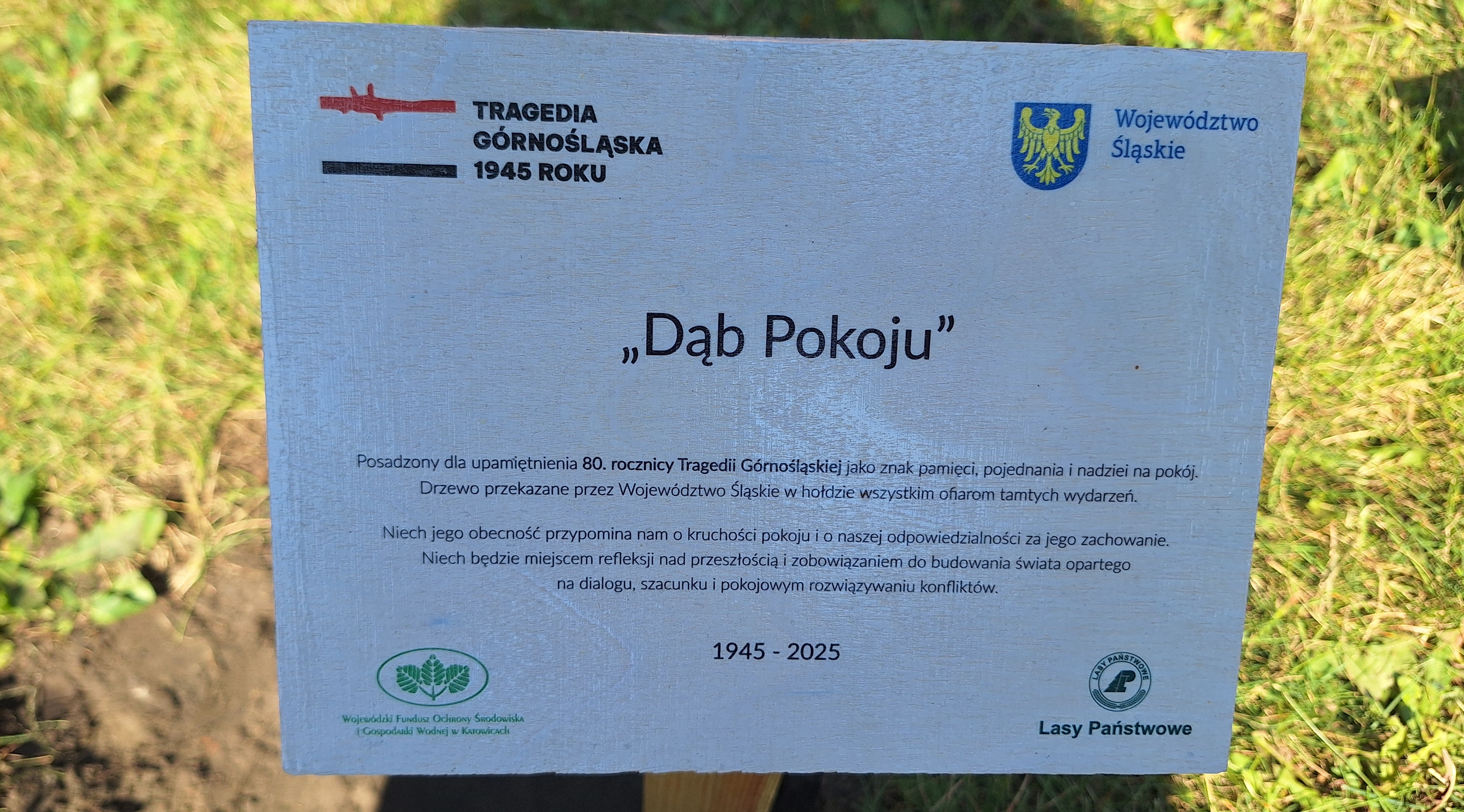 Tragedia Górnośląska