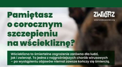 Ilustracja artykułu: "Obowiązkowe szczepienia przeciwko wściekliźnie"